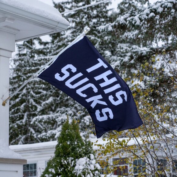Oxford Pennant Other - New Oxford Pennant This Sucks Outdoor Flag